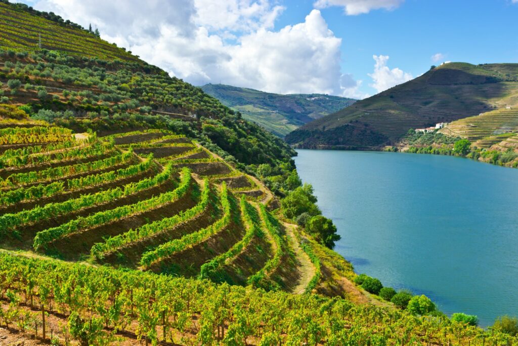 douro valley wine tasting scaled